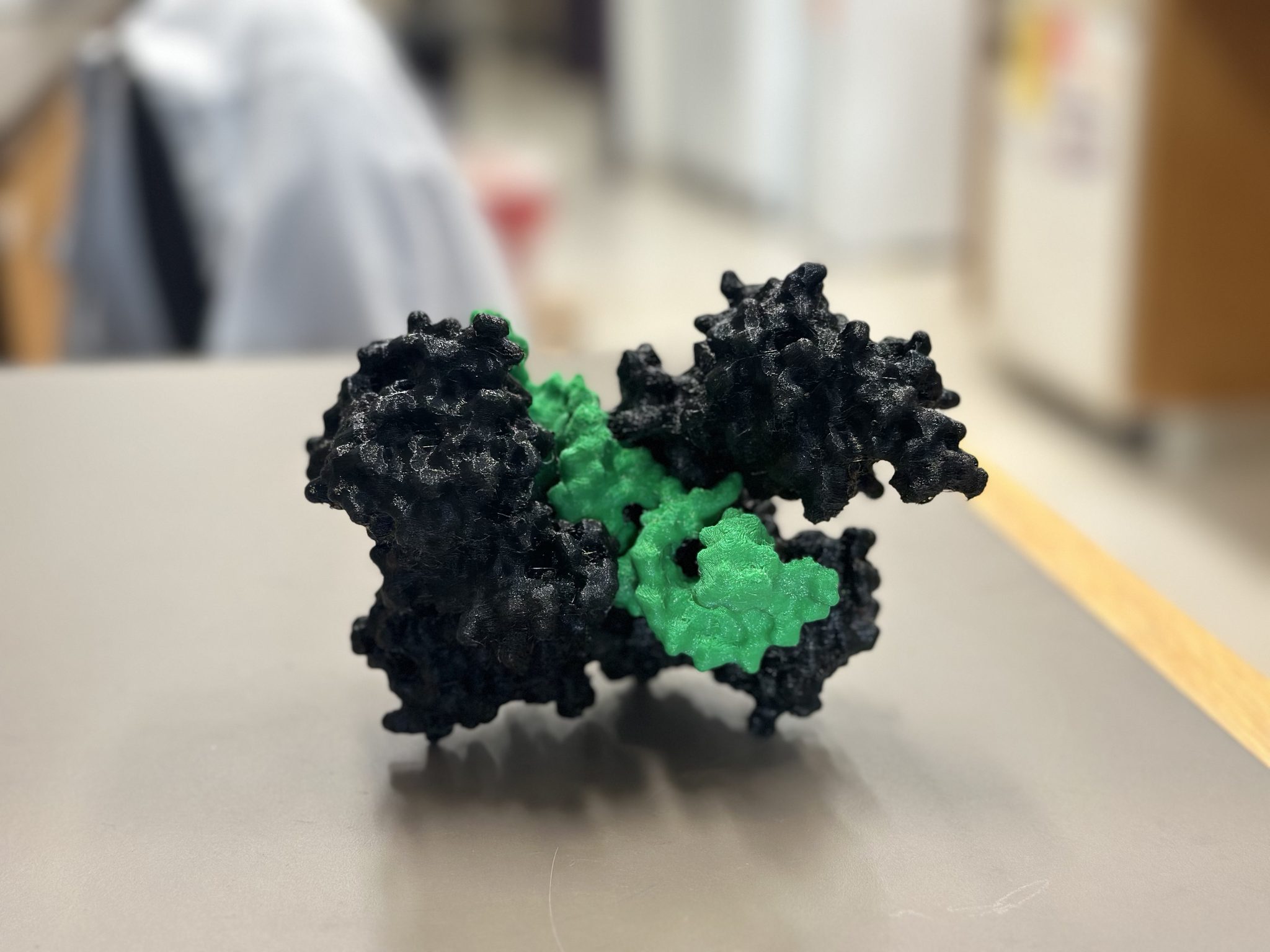 A 3D-printed model of AGO TDMD structure (Cambridge, MA)