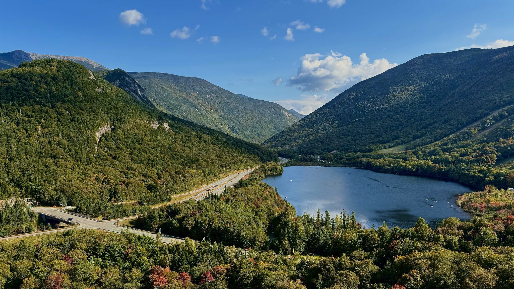 Artist Buff (NH)