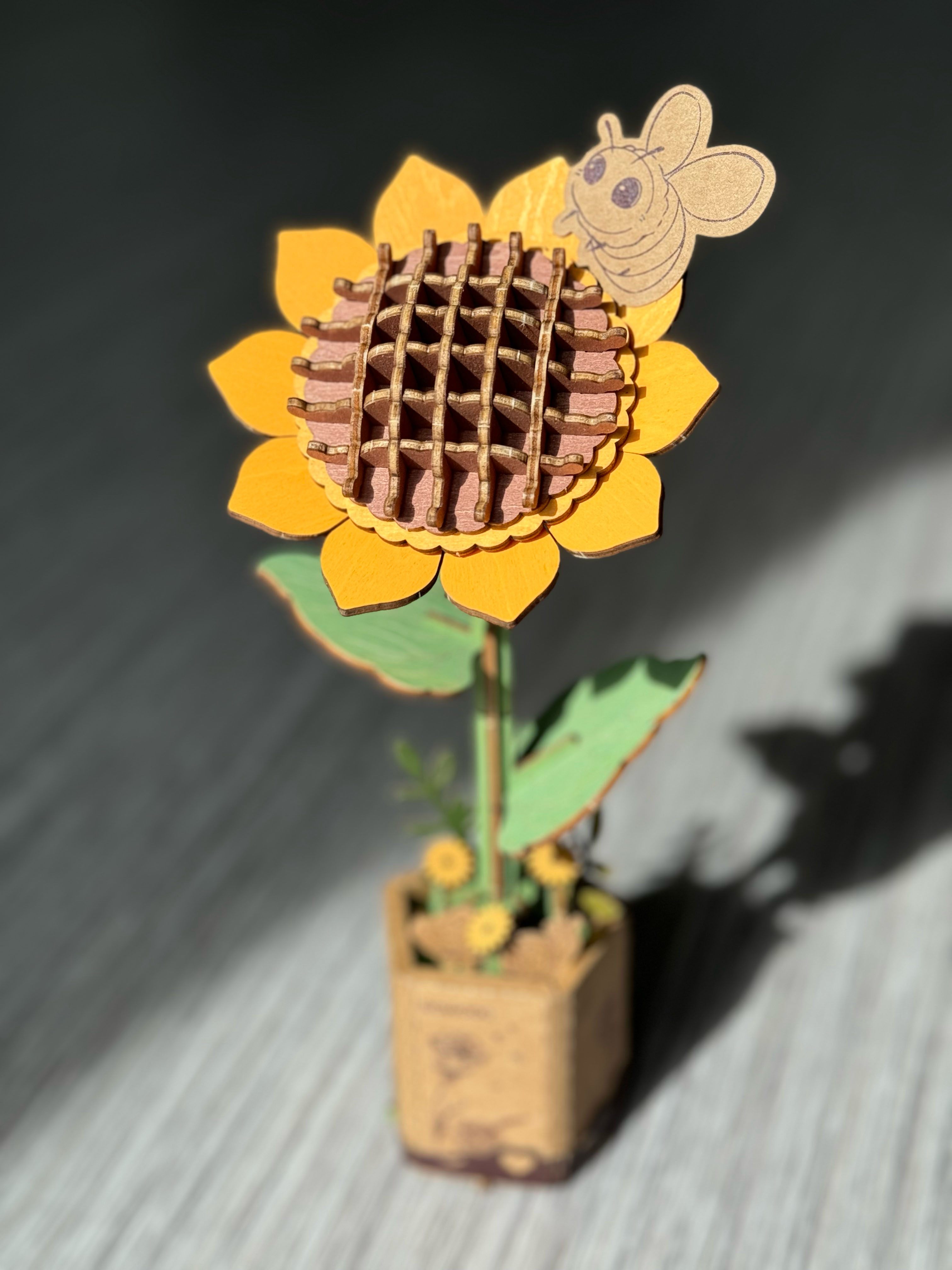 Sunflower (Boston, MA)