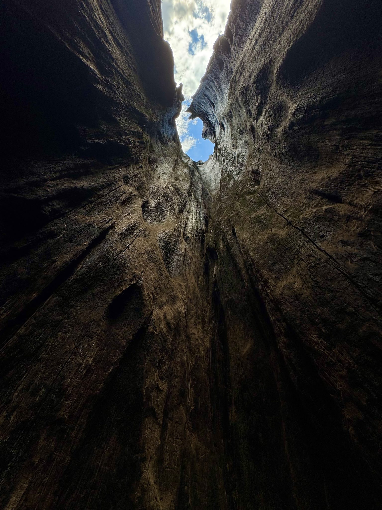 Inside a Sequoia Tree (Sequoia National Park, CA)
