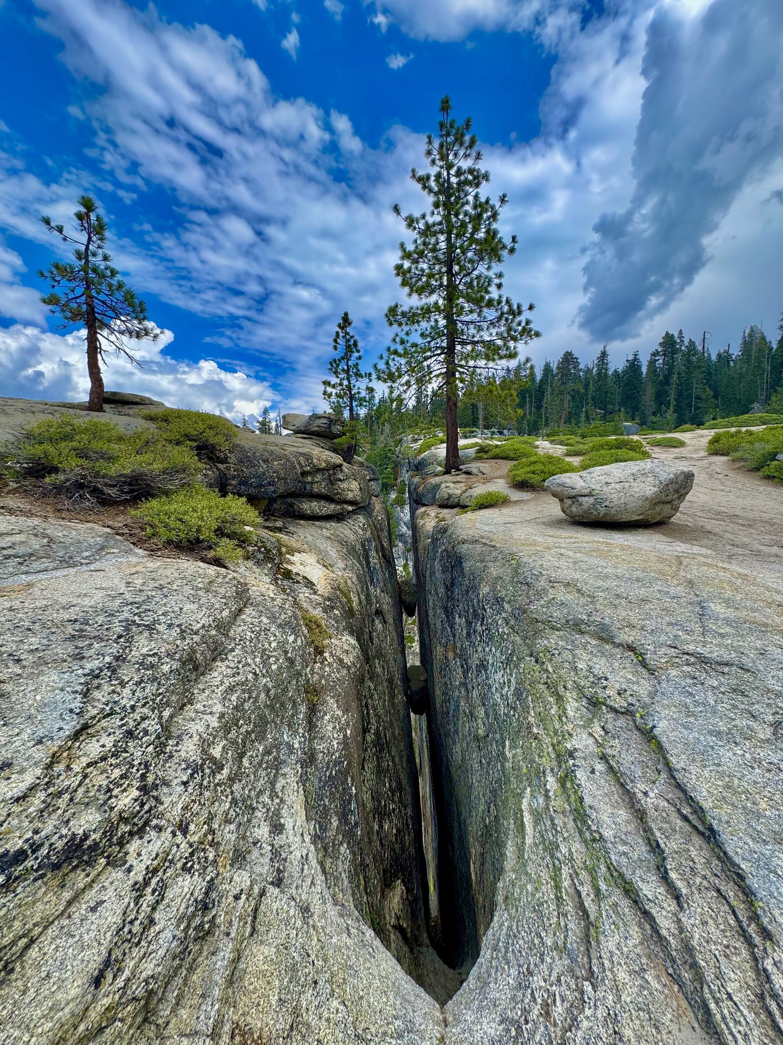 Granite Giants and Deep Divides (Yosemite National Park, CA)