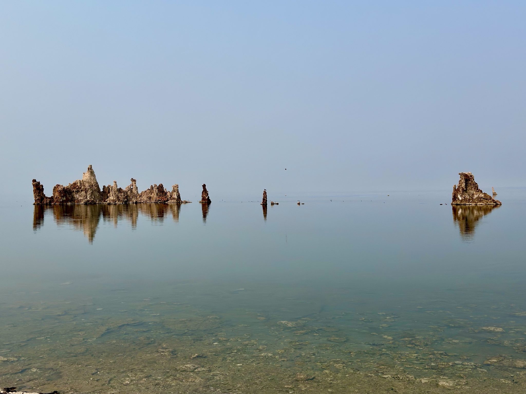 Ghosts of Ancient Sea (Mono Lake, CA)